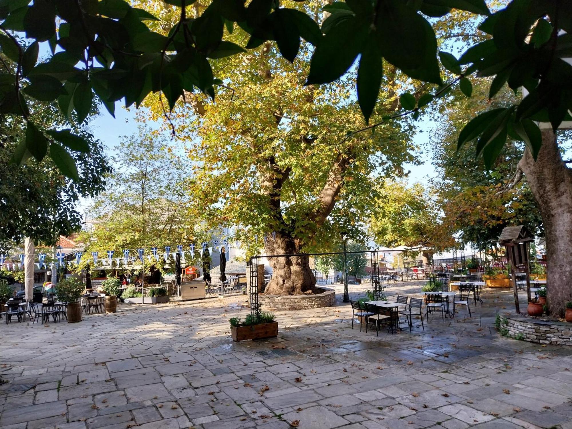 Marousos Central Guesthouse Портариа Екстериор снимка